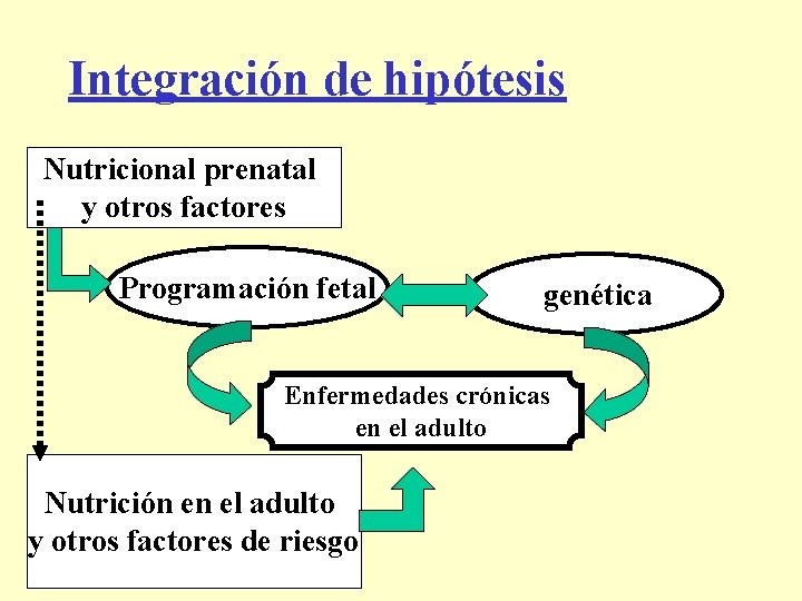 Integración de hipótesis Nutricional prenatal y otros factores Programación fetal genética Enfermedades crónicas en