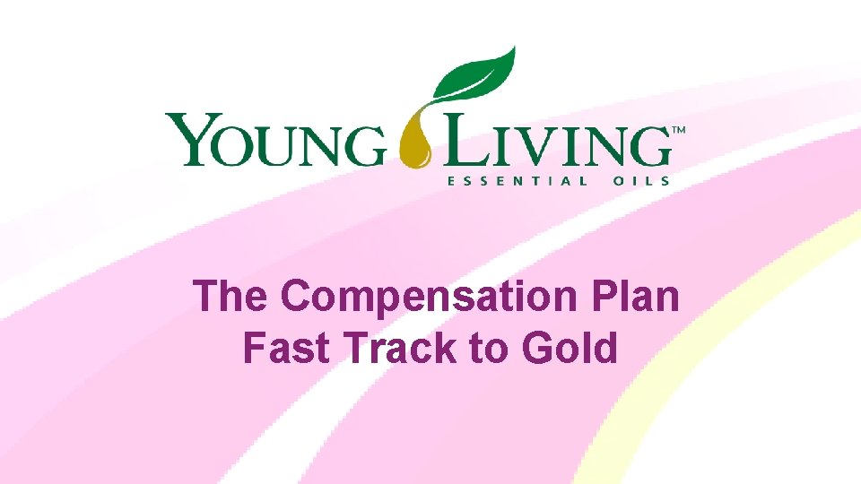 a The Compensation Plan Fast Track to Gold 