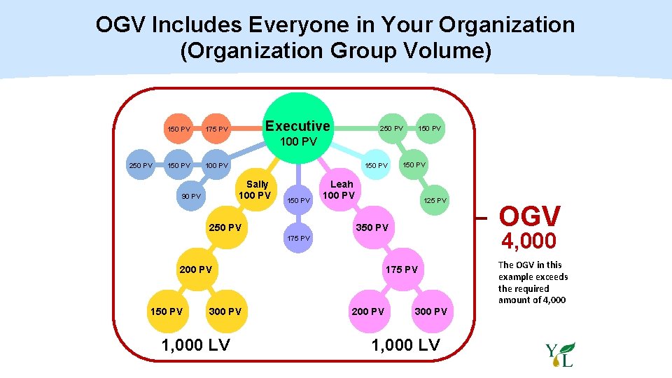 OGV Includes Everyone in Your Organization (Organization Group Volume) 150 PV Executive 175 PV