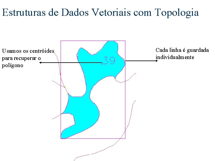 Estruturas de Dados Vetoriais com Topologia Usamos os centróides para recuperar o polígono Cada