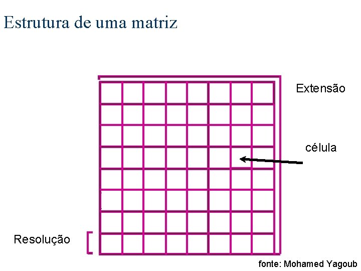 Estrutura de uma matriz Extensão célula Resolução fonte: Mohamed Yagoub 