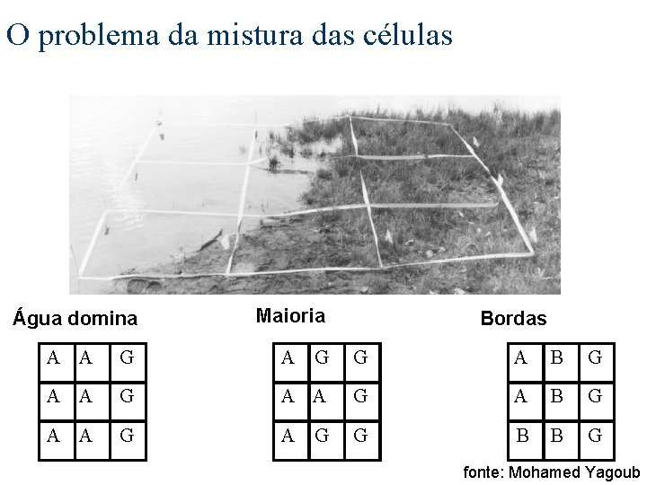 O problema da mistura das células Água domina Maioria Bordas A A G G