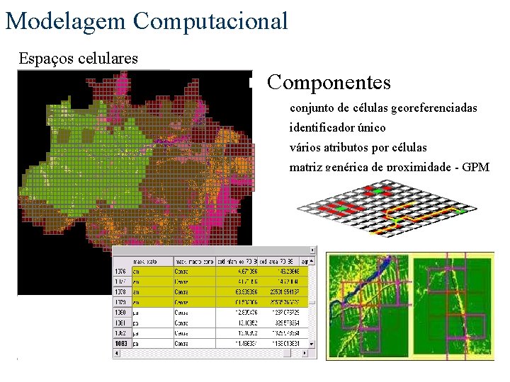 Modelagem Computacional Espaços celulares n Componentes ¨ conjunto de células georeferenciadas ¨ identificador único