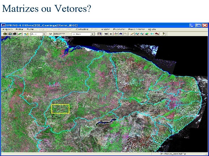 Matrizes ou Vetores? 