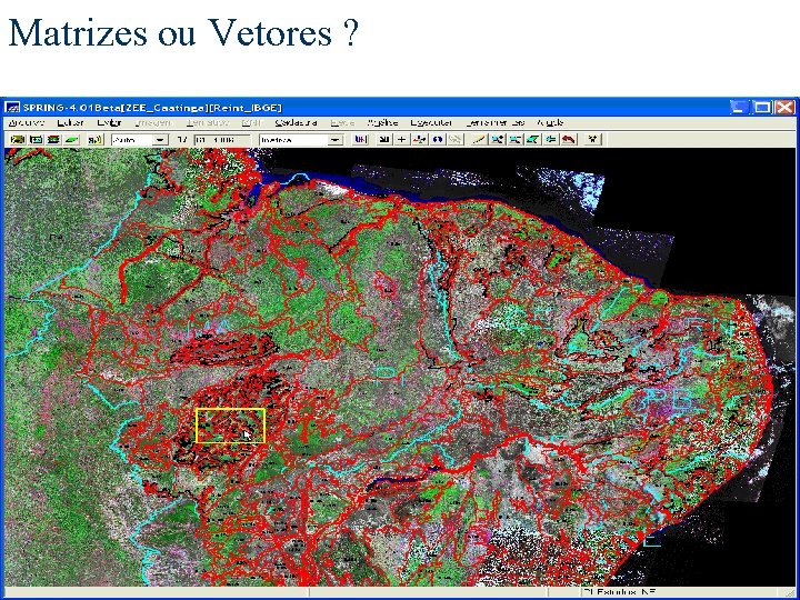 Matrizes ou Vetores ? 