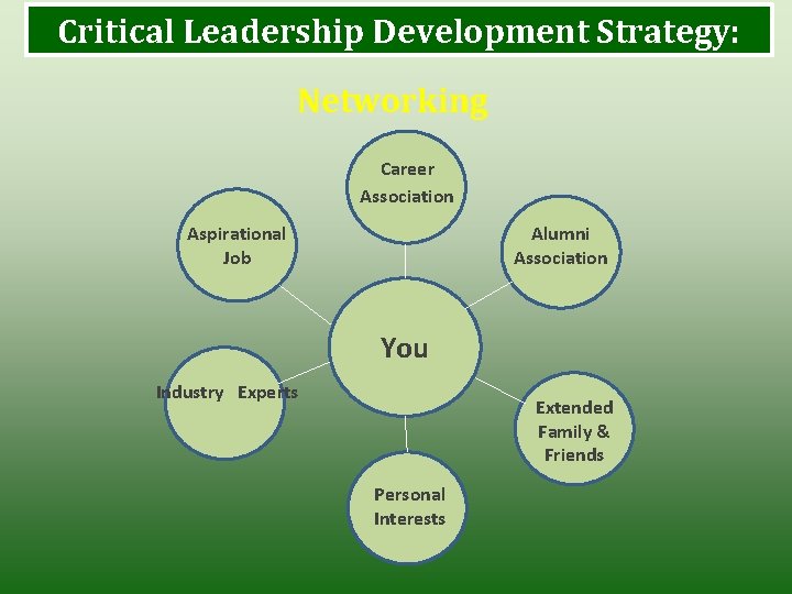 Critical Leadership Development Strategy: Networking Career Association Aspirational Job Alumni Association You Industry Experts