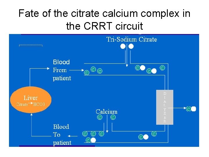 Fate of the citrate calcium complex in the CRRT circuit 