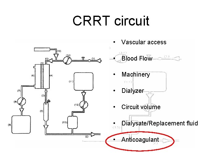 CRRT circuit • Vascular access • Blood Flow • Machinery • Dialyzer • Circuit