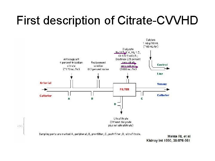 First description of Citrate-CVVHD 