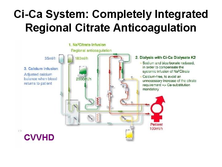 Ci-Ca System: Completely Integrated Regional Citrate Anticoagulation CVVHD 