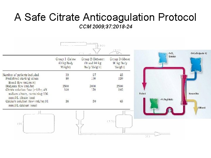 A Safe Citrate Anticoagulation Protocol CCM 2009; 37: 2018 -24 