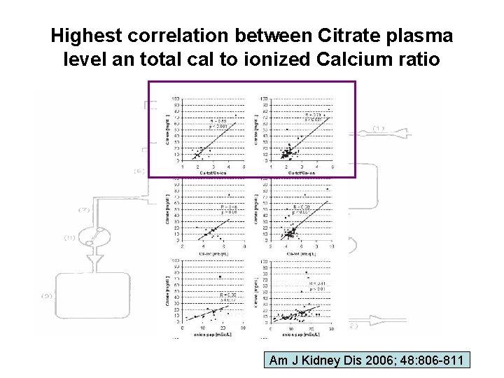 Highest correlation between Citrate plasma level an total cal to ionized Calcium ratio Am