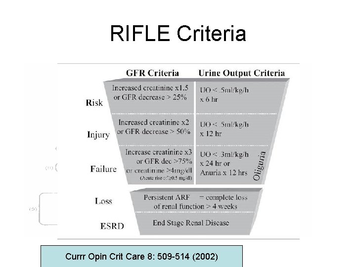 RIFLE Criteria Currr Opin Crit Care 8: 509 -514 (2002) 