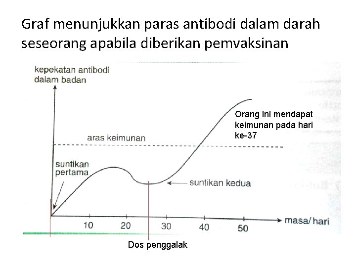 Graf menunjukkan paras antibodi dalam darah seseorang apabila diberikan pemvaksinan Orang ini mendapat keimunan