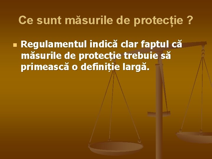 Ce sunt măsurile de protecție ? n Regulamentul indică clar faptul că măsurile de