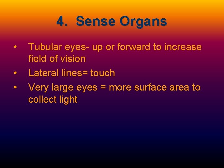 4. Sense Organs • • • Tubular eyes- up or forward to increase field