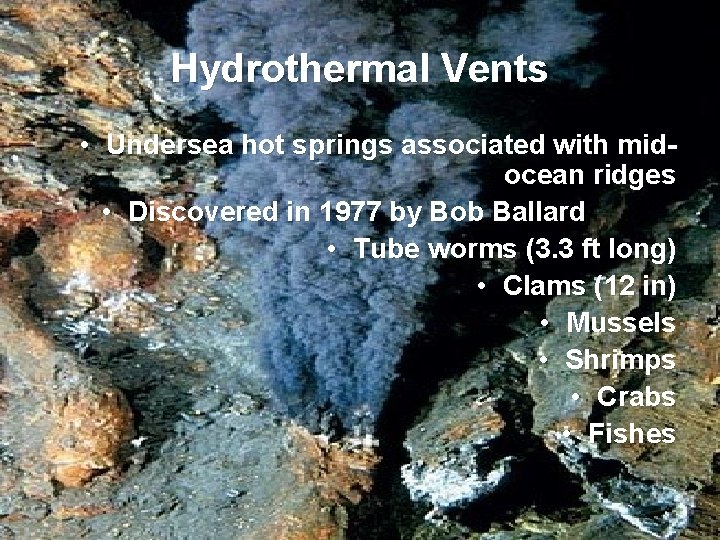 Hydrothermal Vents • Undersea hot springs associated with midocean ridges • Discovered in 1977