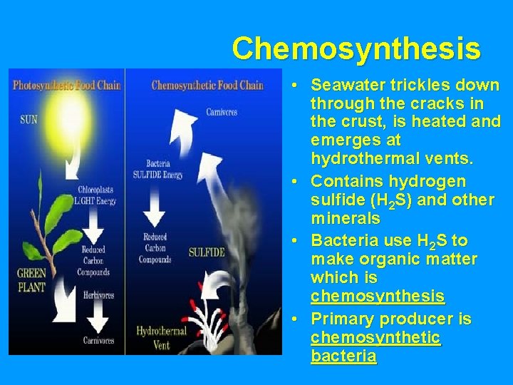 Chemosynthesis • Seawater trickles down through the cracks in the crust, is heated and