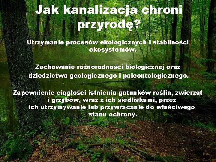 Jak kanalizacja chroni przyrodę? Utrzymanie procesów ekologicznych i stabilności ekosystemów. Zachowanie różnorodności biologicznej oraz