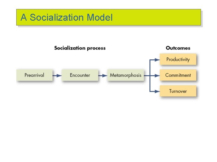 A Socialization Model A Socialization Model