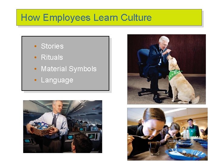 How Employees Learn Culture • Stories • Rituals • Material Symbols • Language How Employees Learn Culture • Stories • Rituals • Material Symbols • Language