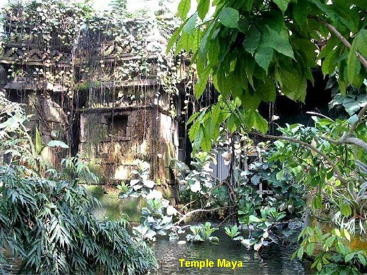 Temple Maya 