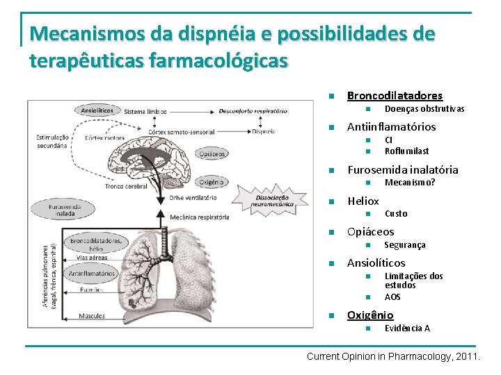 Mecanismos da dispnéia e possibilidades de terapêuticas farmacológicas n Broncodilatadores n n Antiinflamatórios n Mecanismos da dispnéia e possibilidades de terapêuticas farmacológicas n Broncodilatadores n n Antiinflamatórios n