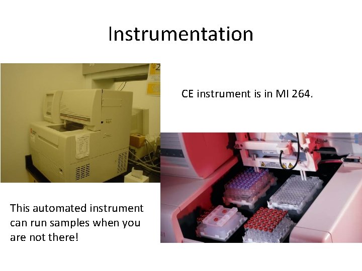 Instrumentation CE instrument is in MI 264. This automated instrument can run samples when