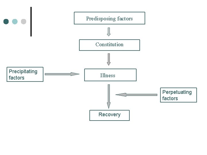 Predisposing factors Constitution Precipitating factors Illness Perpetuating factors Recovery 