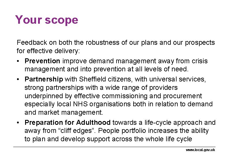 Your scope Feedback on both the robustness of our plans and our prospects for Your scope Feedback on both the robustness of our plans and our prospects for