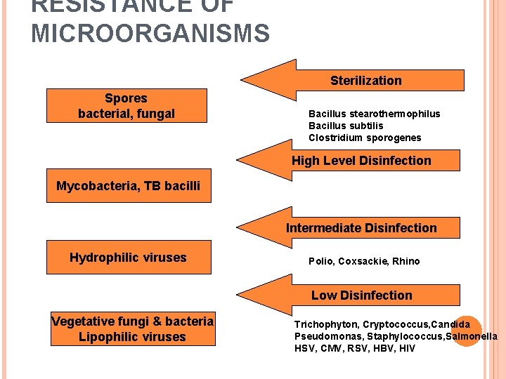 RESISTANCE OF MICROORGANISMS Sterilization Spores bacterial, fungal Bacillus stearothermophilus Bacillus subtilis Clostridium sporogenes High