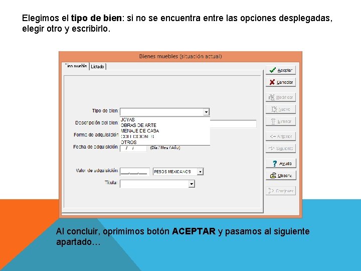Elegimos el tipo de bien: si no se encuentra entre las opciones desplegadas, elegir