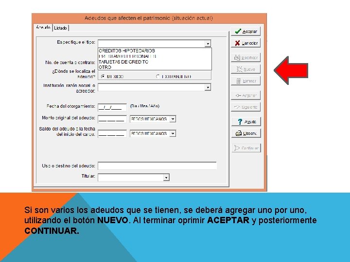 Si son varios los adeudos que se tienen, se deberá agregar uno por uno,