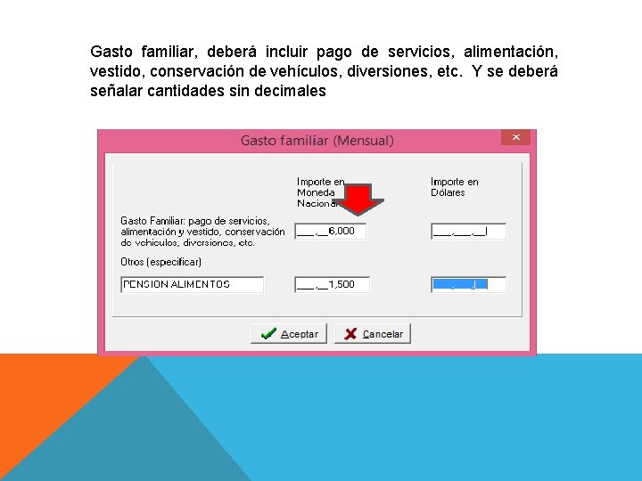 Gasto familiar, deberá incluir pago de servicios, alimentación, vestido, conservación de vehículos, diversiones, etc.