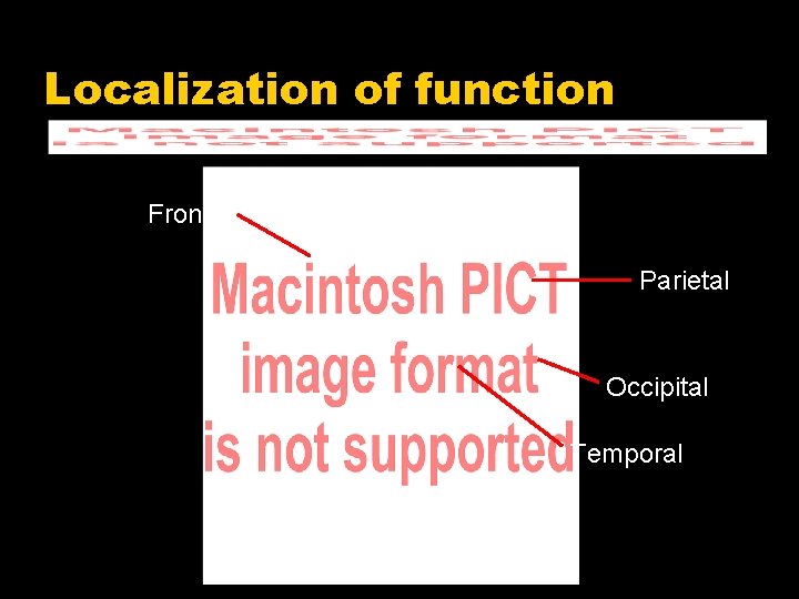 Localization of function Frontal Parietal Occipital Temporal 