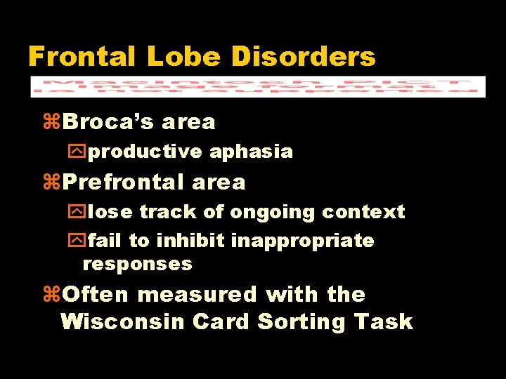 Frontal Lobe Disorders Broca’s area yproductive aphasia Prefrontal area ylose track of ongoing context