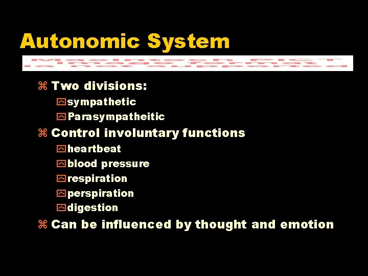 Autonomic System Two divisions: y sympathetic y Parasympatheitic Control involuntary functions y heartbeat y