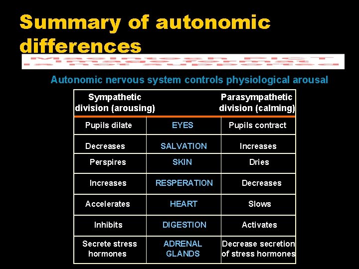 Summary of autonomic differences Autonomic nervous system controls physiological arousal Sympathetic division (arousing) Pupils