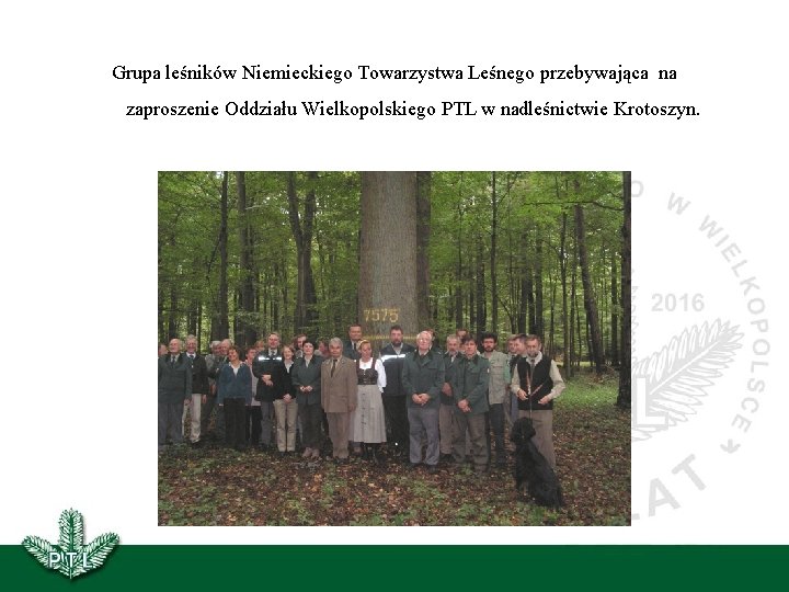Grupa leśników Niemieckiego Towarzystwa Leśnego przebywająca na zaproszenie Oddziału Wielkopolskiego PTL w nadleśnictwie Krotoszyn.