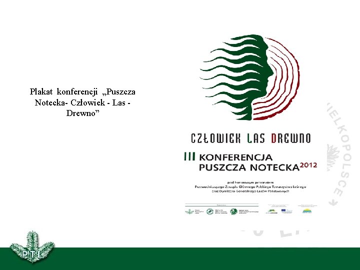 Plakat konferencji „Puszcza Notecka- Człowiek - Las Drewno” 