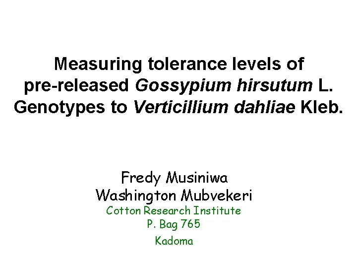 Measuring tolerance levels of pre-released Gossypium hirsutum L. Genotypes to Verticillium dahliae Kleb. Fredy