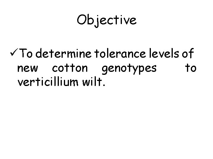 Objective üTo determine tolerance levels of new cotton genotypes to verticillium wilt. 