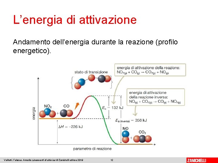 L’energia di attivazione Andamento dell’energia durante la reazione (profilo energetico). Valitutti, Falasca, Amadio Lineamenti
