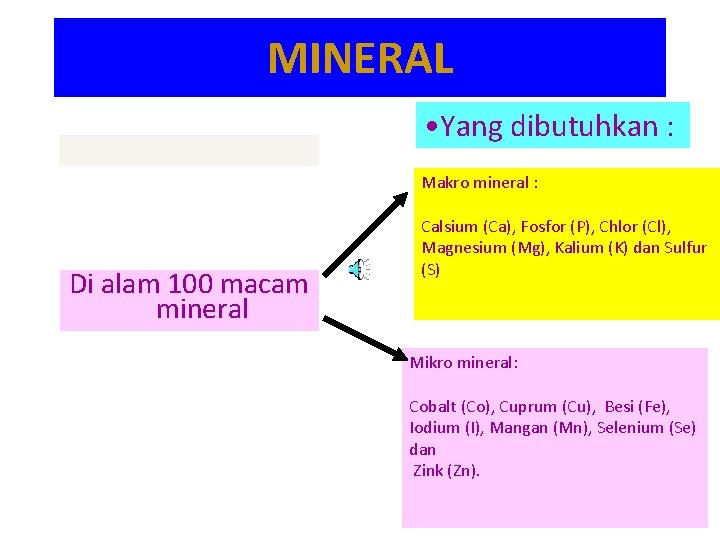 MINERAL • Yang dibutuhkan : Makro mineral : Di alam 100 macam mineral Calsium