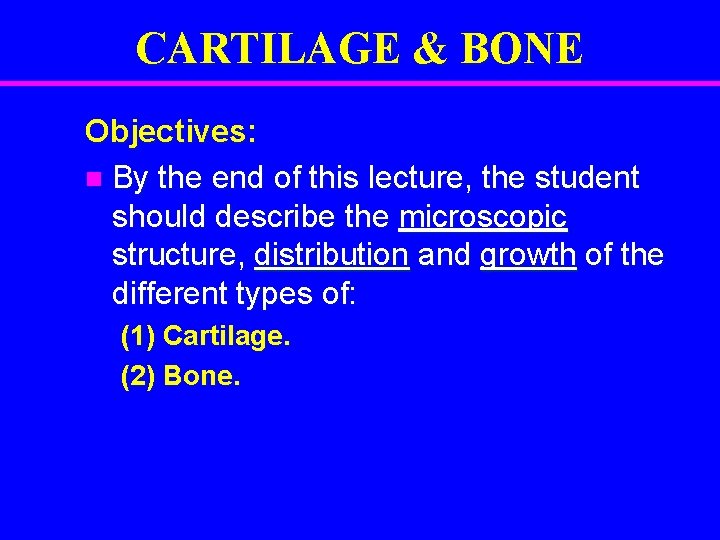CARTILAGE & BONE Objectives: n By the end of this lecture, the student should