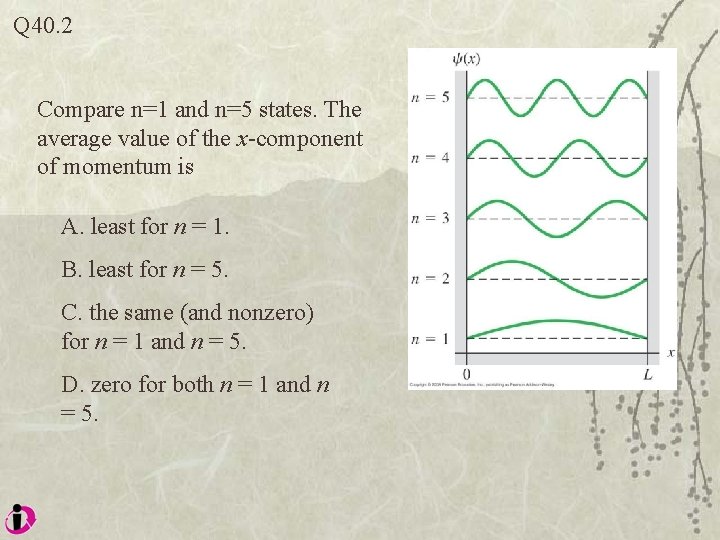 Q 40. 2 Compare n=1 and n=5 states. The average value of the x-component