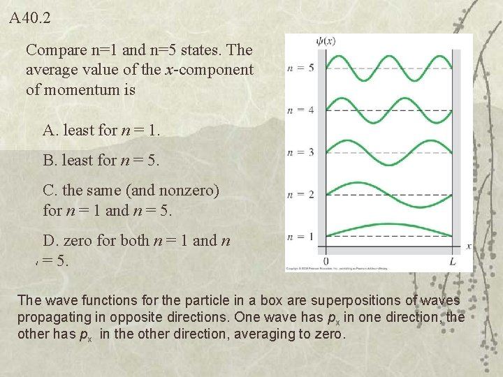 A 40. 2 Compare n=1 and n=5 states. The average value of the x-component