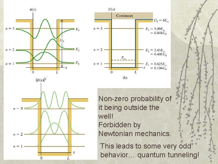Non-zero probability of it being outside the well! Forbidden by Newtonian mechanics. This leads