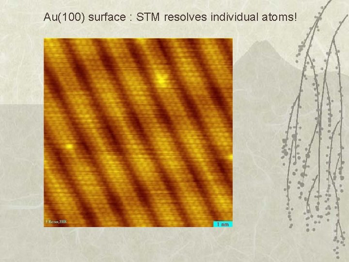 Au(100) surface : STM resolves individual atoms! 