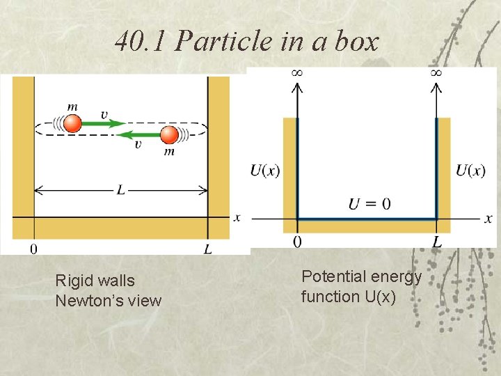 40. 1 Particle in a box Rigid walls Newton’s view Potential energy function U(x)